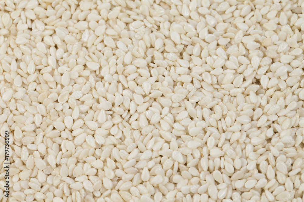  texture Sesame seeds