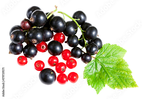 berries black currant and red currant with green leaves isolated on a white background