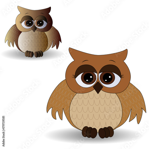 Two sad owls with surprised eyes and splayed wings, with a pattern on the sternum and wings