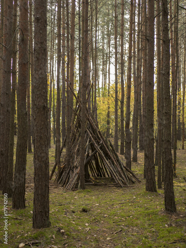 wigwam in forest