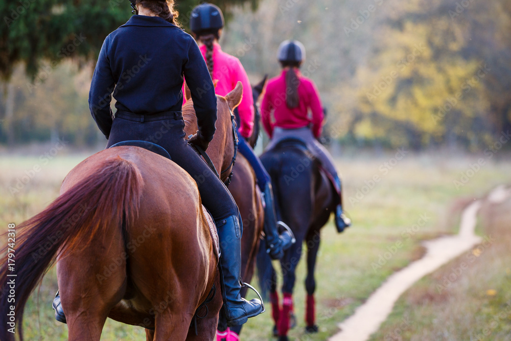 Group of teenage girls riding horses in autumn park. Equestrian sport background with copy space - obrazy, fototapety, plakaty 