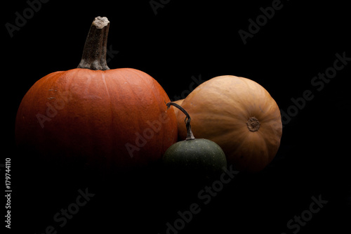 Dynia, Halloween, jesień, różne kolory