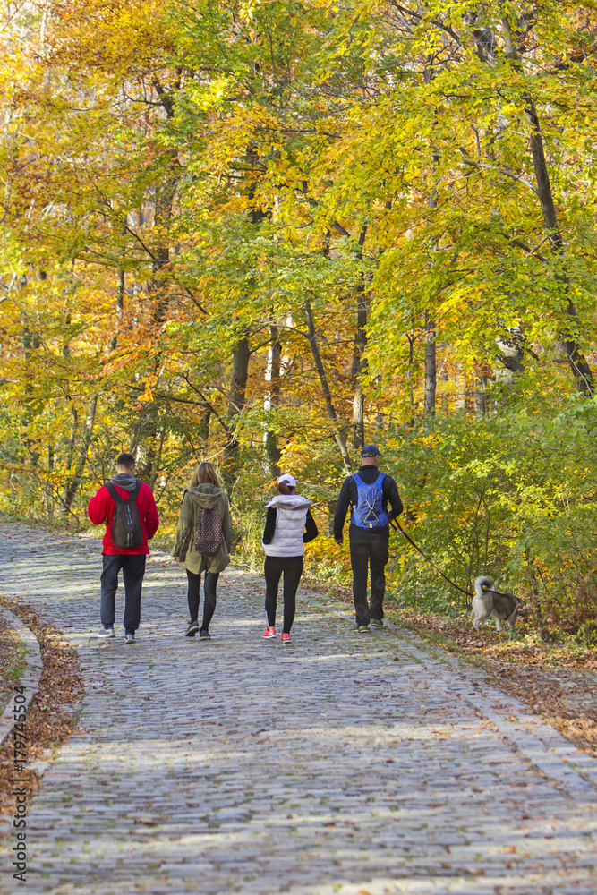 Two Young couples with a dog, walking in a park in autumn forest Two Young couples with a dog, walking in a park in autumn forest
