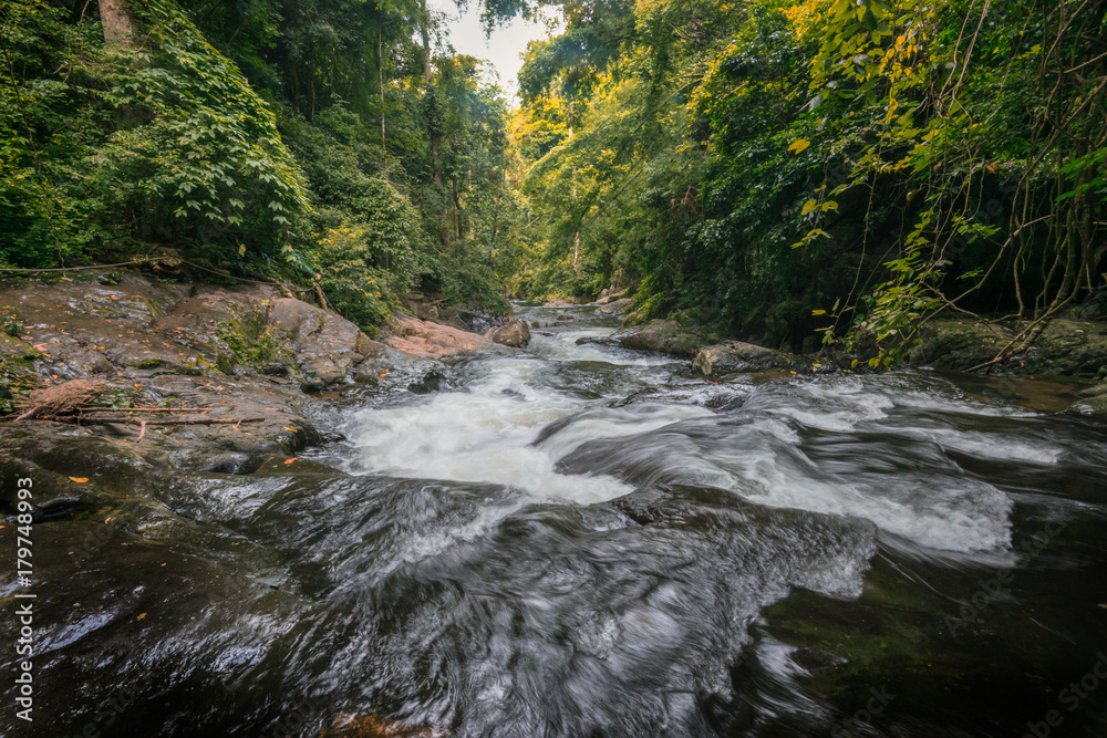 Obraz premium Beautiful Landscape Photography of Waterfall in a deep Forest