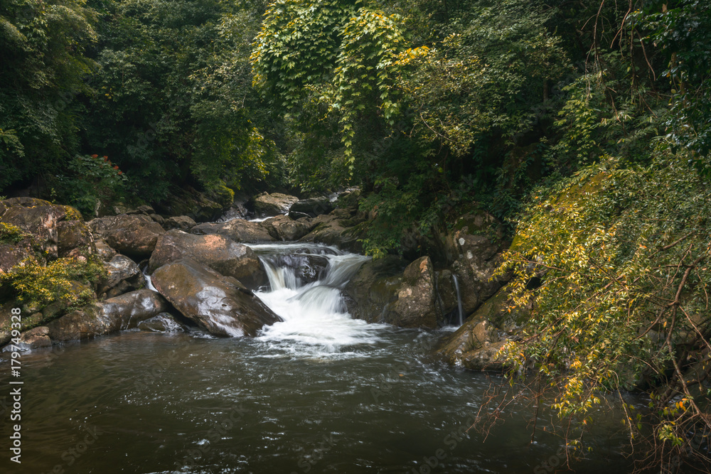 Beautiful Landscape Photography of Waterfall in a deep Forest Beautiful Landscape Photography of Waterfall in a deep Forest