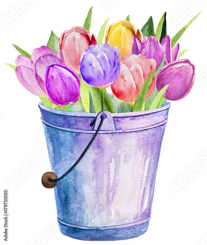 Bouquet of red and pink tulips isolated on white background