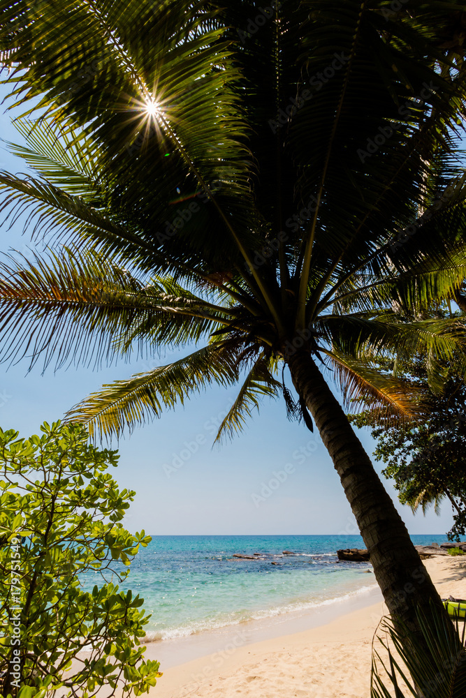 Obraz premium Tropical landscape of Koh Kood