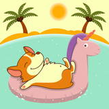 Welsh corgi on vacation float on the rubber ring in the form of a unicorn.