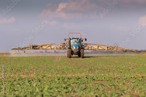 Chemical defense against crustaceans, mushroom insects