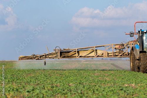 Chemical defense against crustaceans, mushroom insects