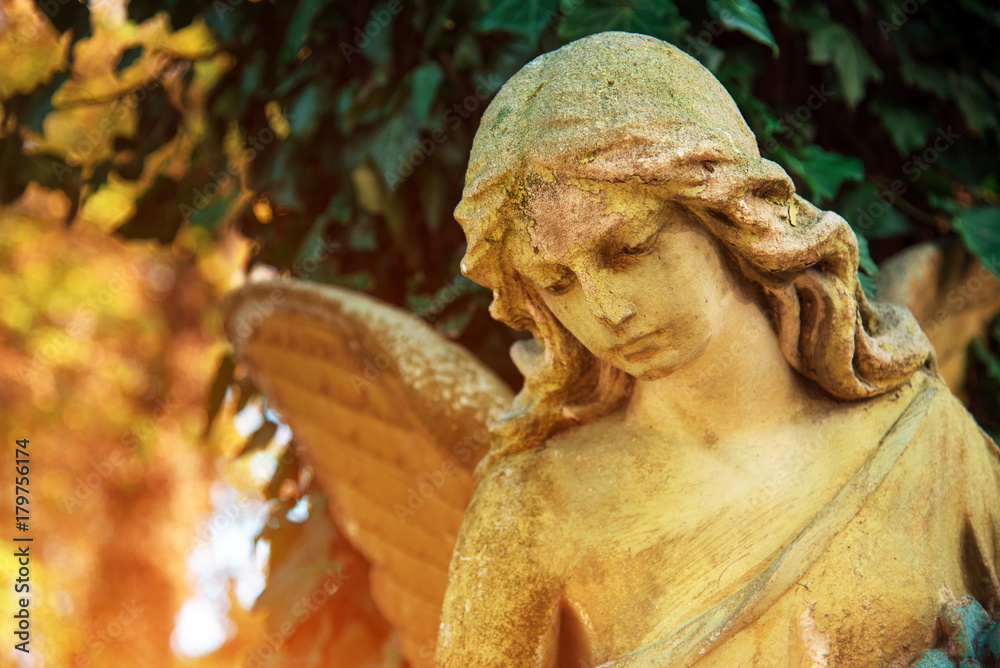 The figure of an angel in a golden glow. Symbol of love, invisible forces, purity, enlightenment, ministry. Guard. Place for the inscription.