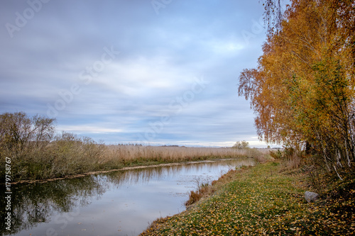 River in autumn