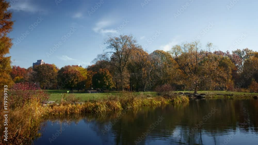 Timelapse, scenic duck pond in autumn Timelapse, scenic duck pond in autumn