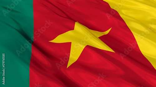 Cameroon Flag Waving. Seamless loop.