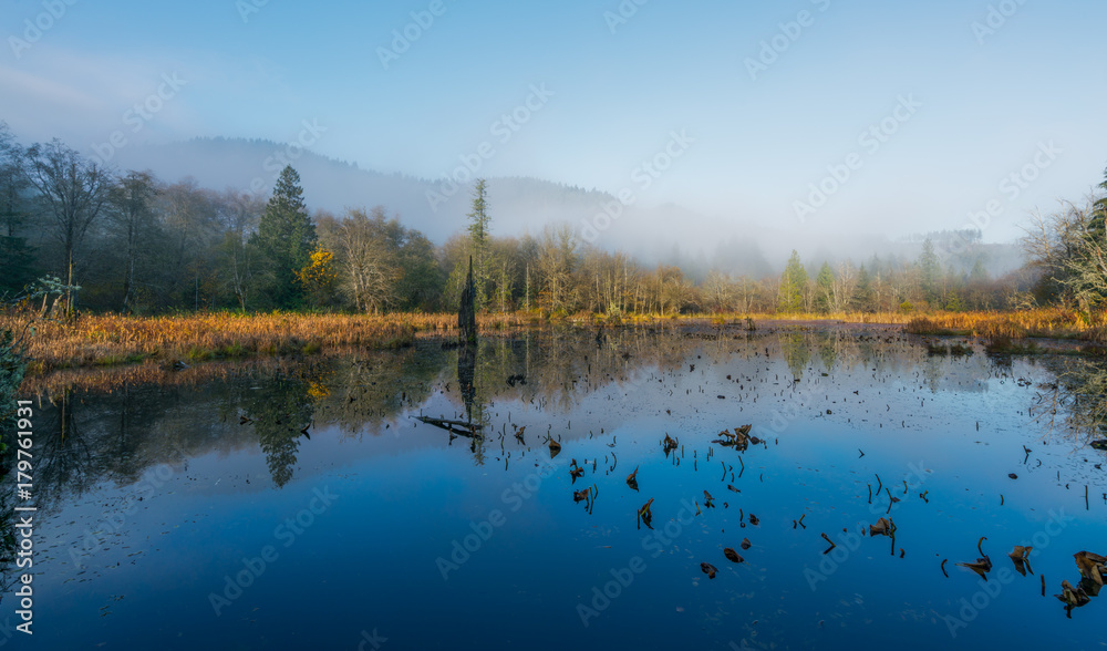 Fototapeta premium Foggy Morn At McLane Creek