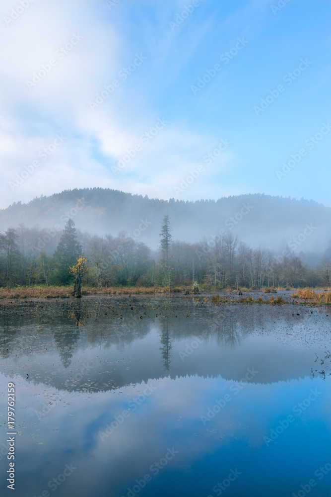 Foggy Morn At McLane Creek