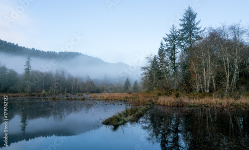 Foggy Morn At McLane Creek © John