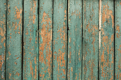old green wooden fence background © Andrii