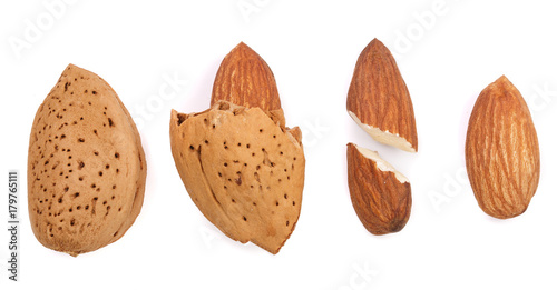 almonds peeled and unpeeled with isolated on white background. Set or collection. Top view photo