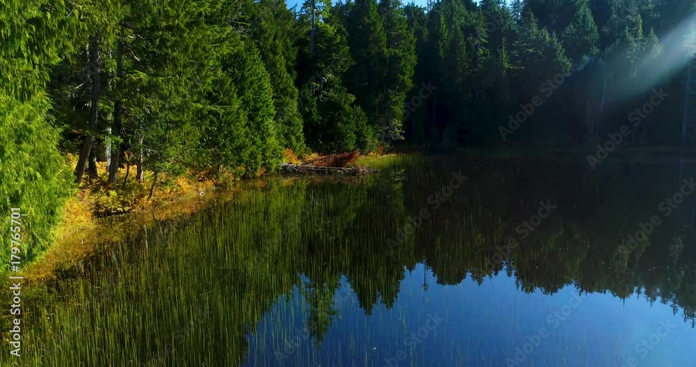 Beautiful Green Pond Aerial in Pacific Northwest Natural Area Landscape Beautiful Green Pond Aerial in Pacific Northwest Natural Area Landscape