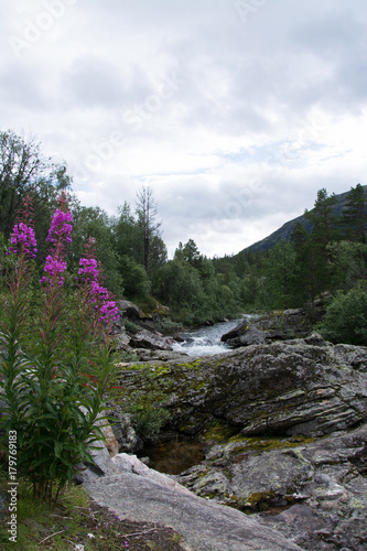 Fluss Rauma  Oppland  Norwegen