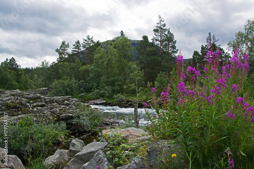 Fluss Rauma, Oppland, Norwegen