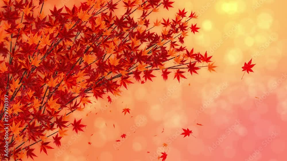 紅葉 木々 秋 落葉 ループ 黄色 紅葉 木々 秋 落葉 ループ 黄色