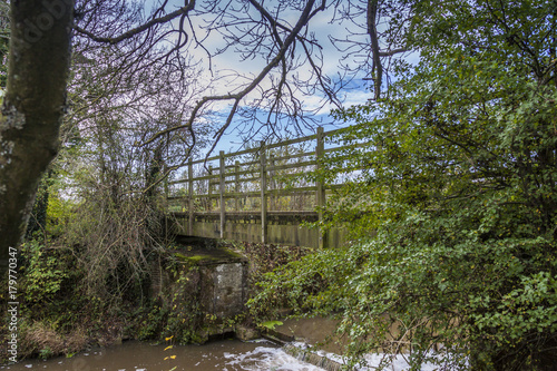 a bridge across Rother river in Enlish coutryside with trees and blue sky photo