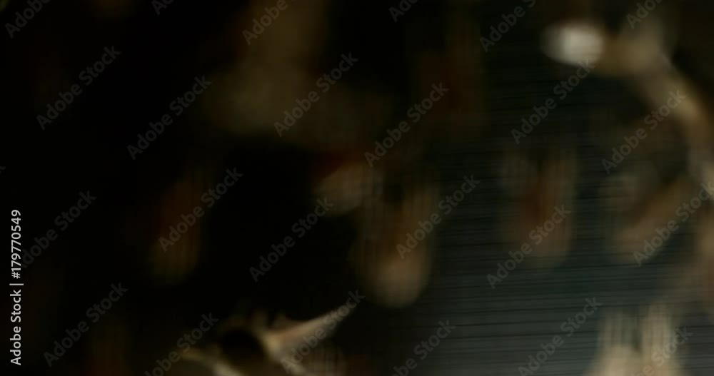 Abstract Bees Background Abstract Bees Background