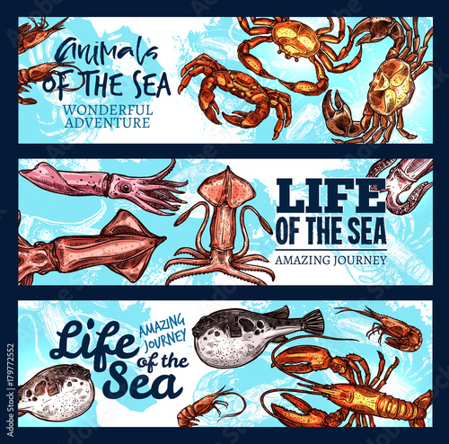 Vector sea life poster of sketch animals and fish