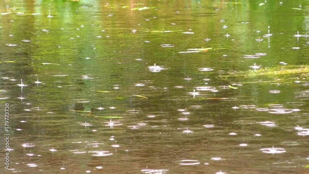 Background of sparkling rain Drops. Rain drops fall and leave circles on the forest water. The rainy season is a great time for sadness and dreams. Background of sparkling rain Drops. Rain drops fall and leave circles on the forest water. The rainy season is a great time for sadness and dreams.