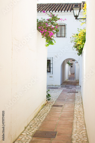 Street. Beautiful Spanish street. Costa del Sol, Andalusia, Spain.