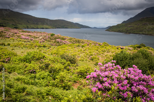 killary harbour photo
