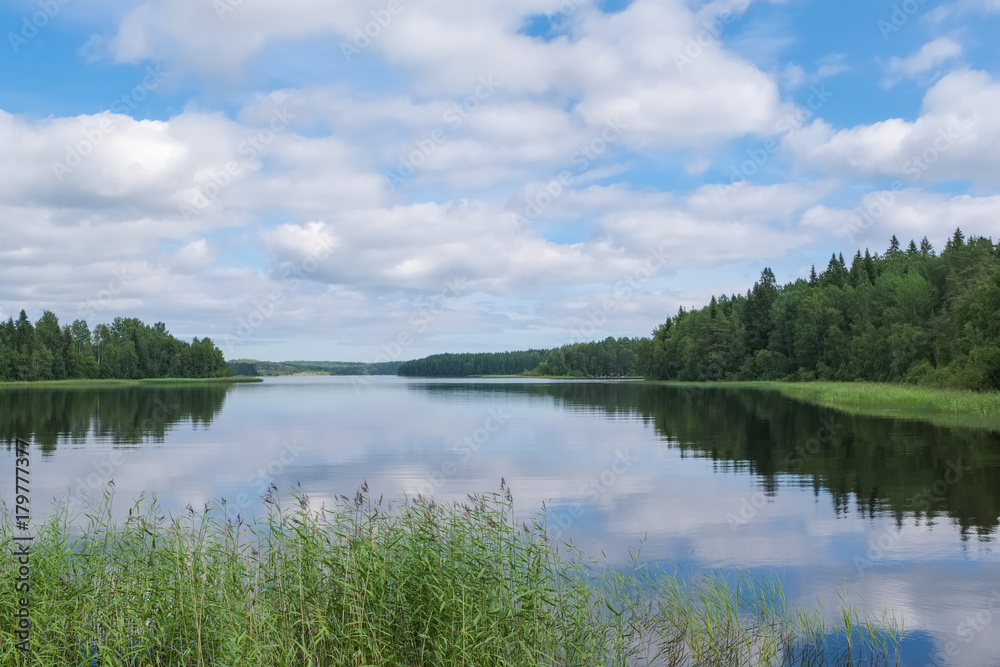 Summer landscape on the northern lake. Lake Ladoga, the island of Koyonsaari, Karelia
