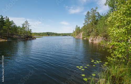 Summer landscape on the northern lake with stone banks. Lake Travkino in the north of the Leningrad region in the vicinity of the village Kuznechnoe