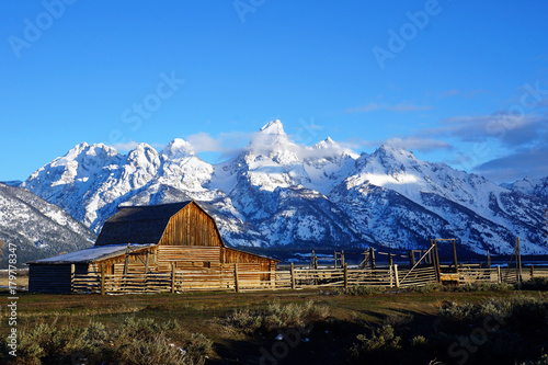 Morning at Mormon Row