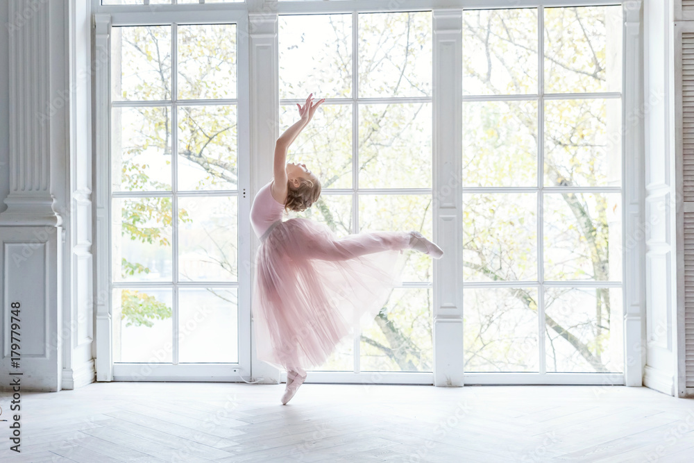 Ballerina girl in a pink ballet skirt. Beautiful graceful ballerine  practice ballet positions in tutu skirt near large window in white light  hall. Young ballet dancer in dance class Stock Photo