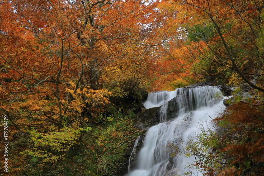 紅葉の姥滝