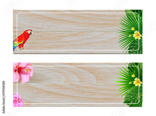 tropical plants on textured wood background. photo