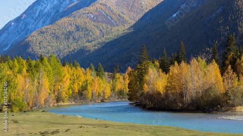 View of Katun river and autumn forest in the Altai mountains  Russia.
