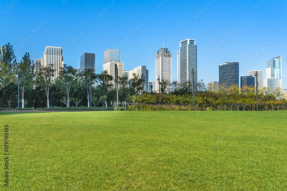 cityscape and skyline of tianjin from meadow in park