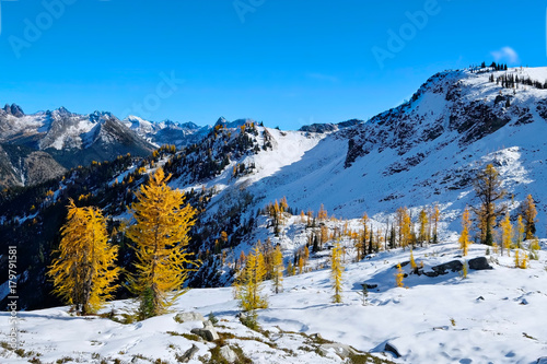 Hiking in Pacific Northwest. Seattle. WA. United States. photo