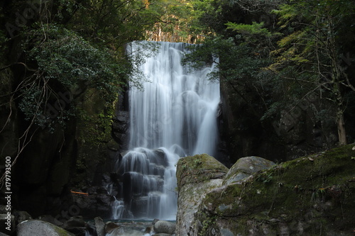桑の木の滝