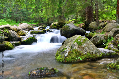 Fototapeta Naklejka Na Ścianę i Meble -  Mountain stream in Tatras National Park