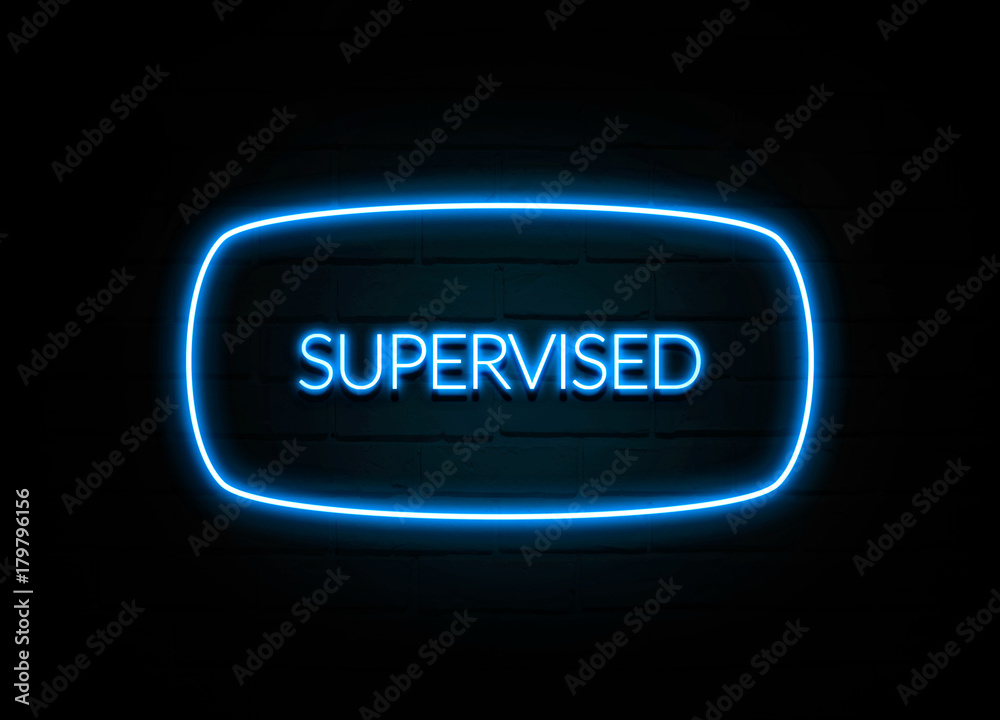 Supervised  - colorful Neon Sign on brickwall