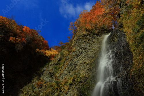 紅葉の降る滝