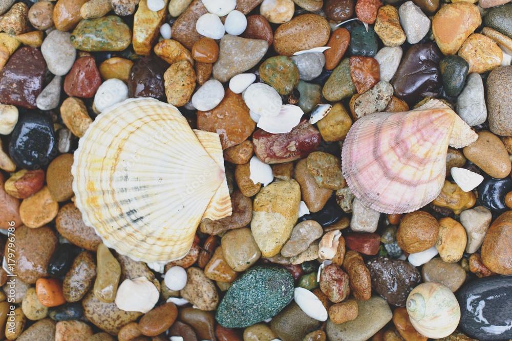 Round sea stones and sea shells textured background