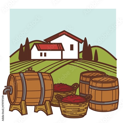 Winery and vineyard vector wine barrels and grape harvest for winemaking design