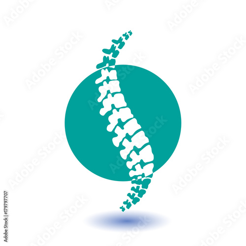 Vector  human spine isolated silhouette 