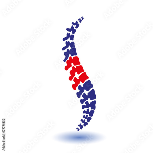 Vector  human spine isolated silhouette 